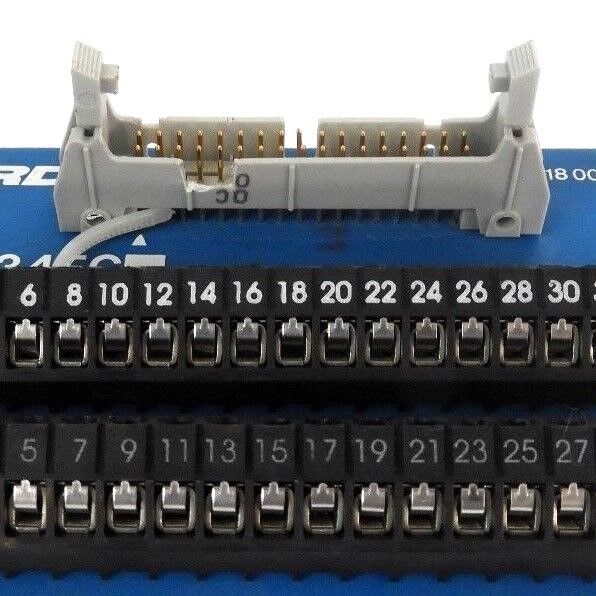 LOT OF 2 RDI 2M34FC TERMINAL BLOCK INTERFACE MODULES 10AMP 300V 620-0999 REV. 2