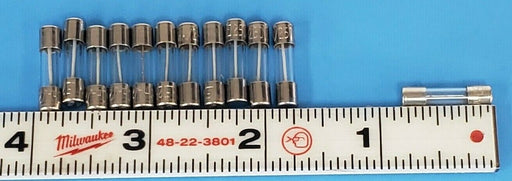 LOT OF 12 NEW MARSH VIDEO JET RPJ500-0066-008 FUSES 1/4AMP