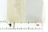 NEW TOSHIBA TKF-8023 CLAMP PLATE BTD-110.R16 TKF8023