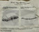 NIB 3M AIRHAT W-3003 HIGH EFFICIENCY RESPIRATOR FILTER 78-8029-4566-3
