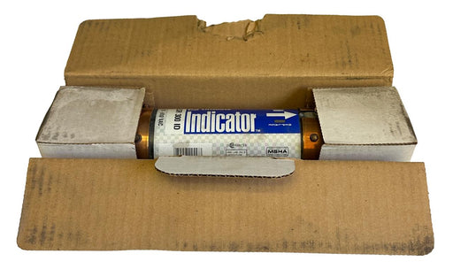 NEW LITTELFUSE FLSR 300 ID / FLSR300ID TIME DELAY FUSE W/ INDICATOR 75-600V 300A