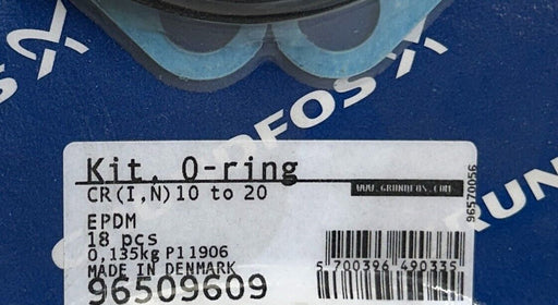 GRUNDFOS 96509609 0-RING KIT CR(I,N) 10 TO 20 10 PCS OEM NSFS