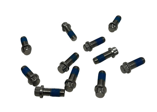 30 ERSA 05050 SCREW CAPS 12PT .375-16 UNC FOR BLENTECH COOKER OEM 104861440 NSNP