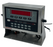 Rice Lake 420 Plus -2A Indicator 85124/01 & (2) RL20000I-25 S-Beam Load Cells